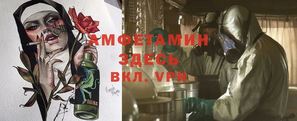 молекула духа Алзамай
