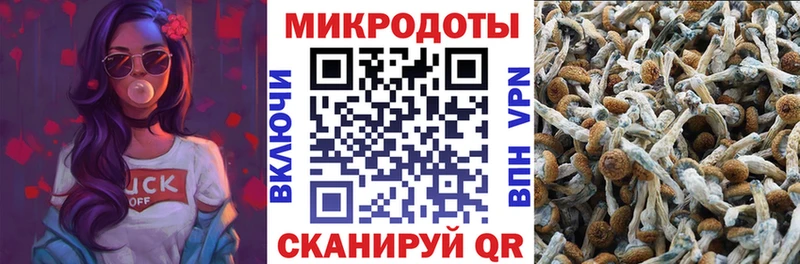 где продают   Бабаево  Галлюциногенные грибы мухоморы 